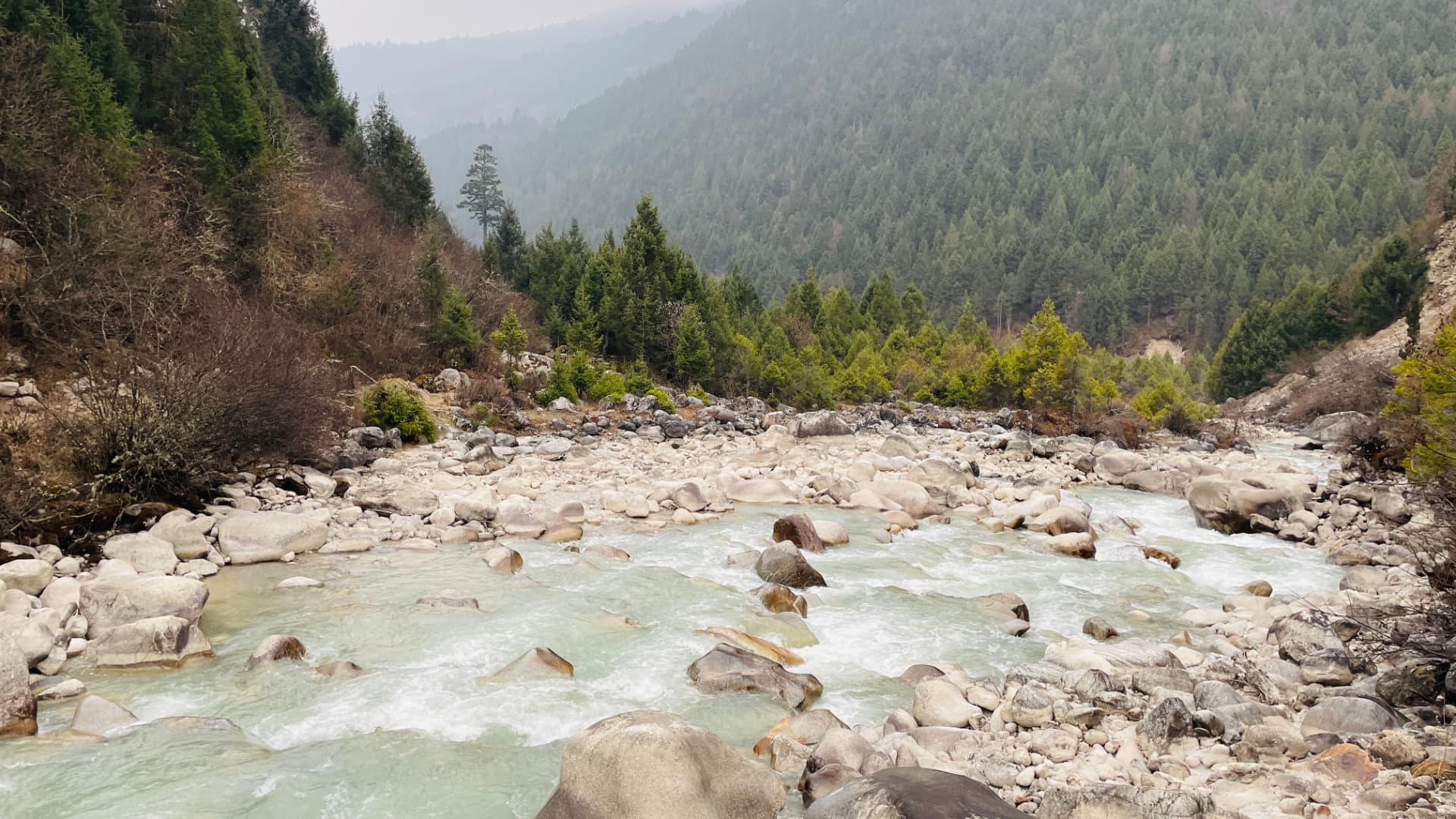 Glacial river running through a forested Himalayan valley in Bhutan